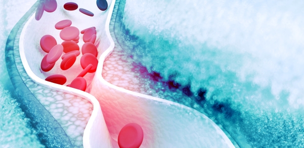 Gesundheitsportal Online Doktor24