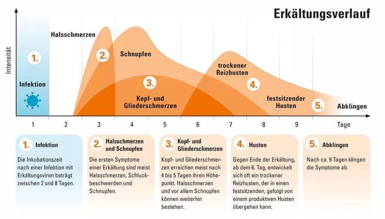 Verlauf einer Erkältung