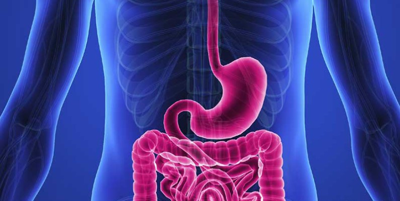 Tipps für die Magen-Darm-Gesundheit